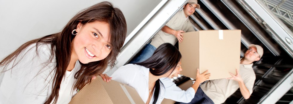 Professional Removalists Rosenthal Heights